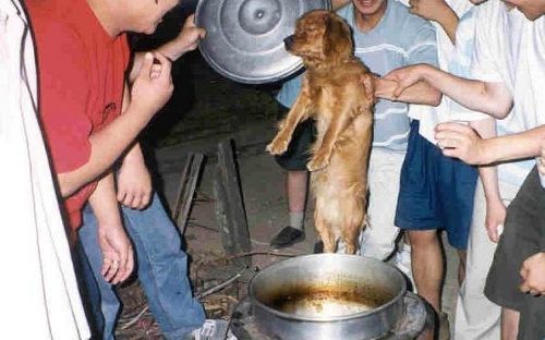 犬を生きたまま熱湯に放り込み虐待する韓国人の衝撃映像…